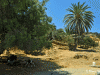 Nero Beach - Kato Koufonisi
