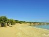 Fanos - Beach - Koufonisia